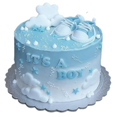 designer cakes for new born baby, order cakes for baby shower, fondant cakes order for baby shower.